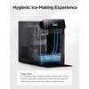 image:imageGoveeLife Nugget Ice Maker Cleaning Agent 6 Pack Per BoxCleaning Agent and Descaling Agent